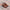 Babbar Sher Kaptaan Chappal – 092192