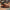 Babbar Sher Kaptaan Chappal – 092192