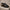 Black Peshawari Chappal with Vibram Sole