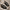 Black Peshawari Chappal with Vibram Sole