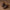 Brown Zalmi Kaptaan Chappal
