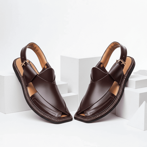 Brown Smart Zalmi Chappal