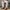 Handmade Charsadda Kaptaan Chappal – 09259