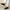 Handmade Black Norozi Chappal with Double Sole – 09203