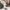 Handmade Mustard Norozi Chappal with China Cut Shape – 092301